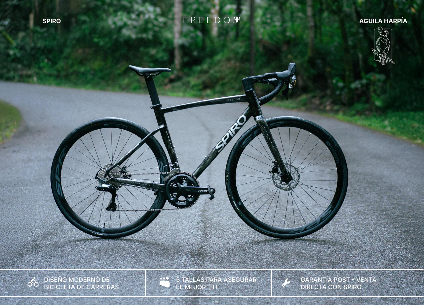 Bicicleta de ruta FREEDOM en aluminio con tenedor en carbono y LTWOO RX de 2x12 vel. - Image 15
